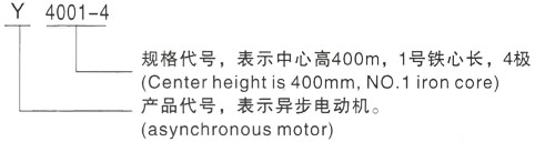 西安泰富西玛Y系列(H355-1000)高压YKS5001-2/1120KW三相异步电机型号说明