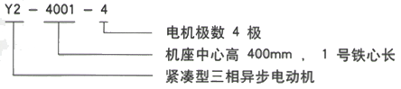 YR系列(H355-1000)高压YKS5001-2/1120KW三相异步电机西安西玛电机型号说明